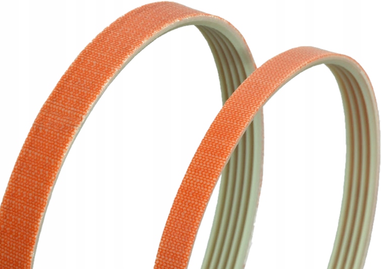 Pasek wieloklinowy TB2 310 4 polyestre cord MEGADYNE krajalnica kompresor Rodzaj pasek