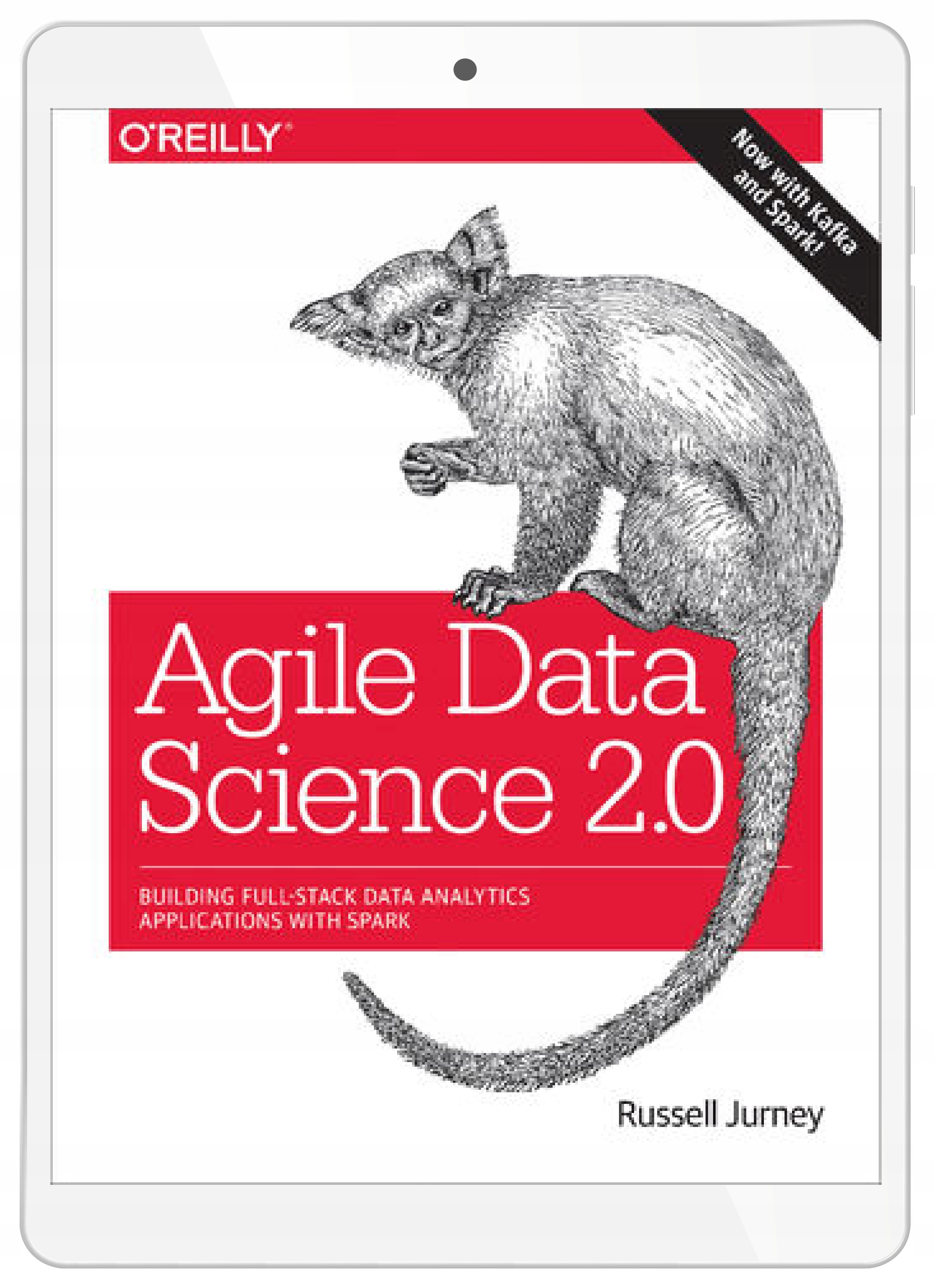 Agile Data Science 2.0. Building Full-Stack Data