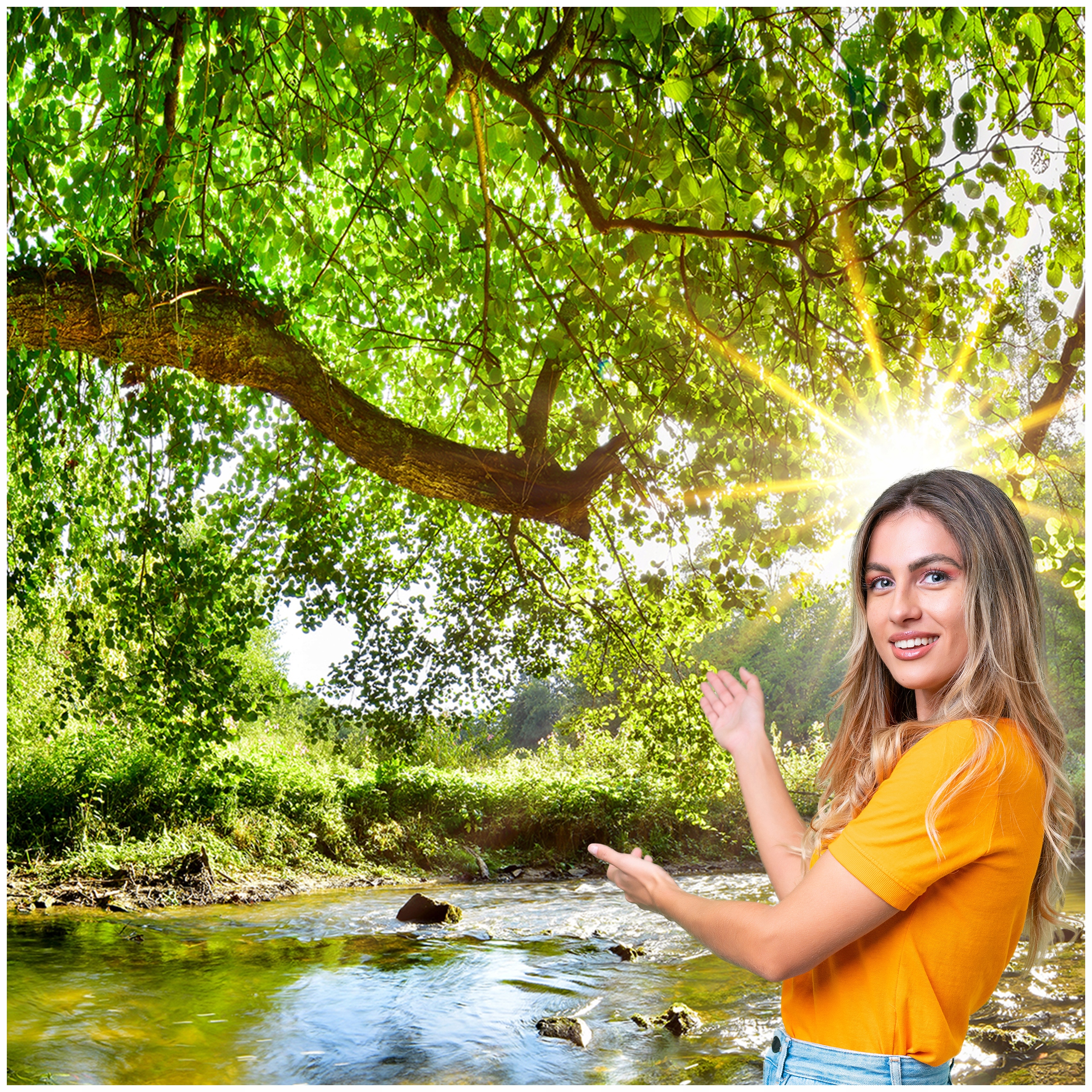 3D fototapeta Obývacia Izba Spálňa Les Stromy Slnko 392x280 P05F
