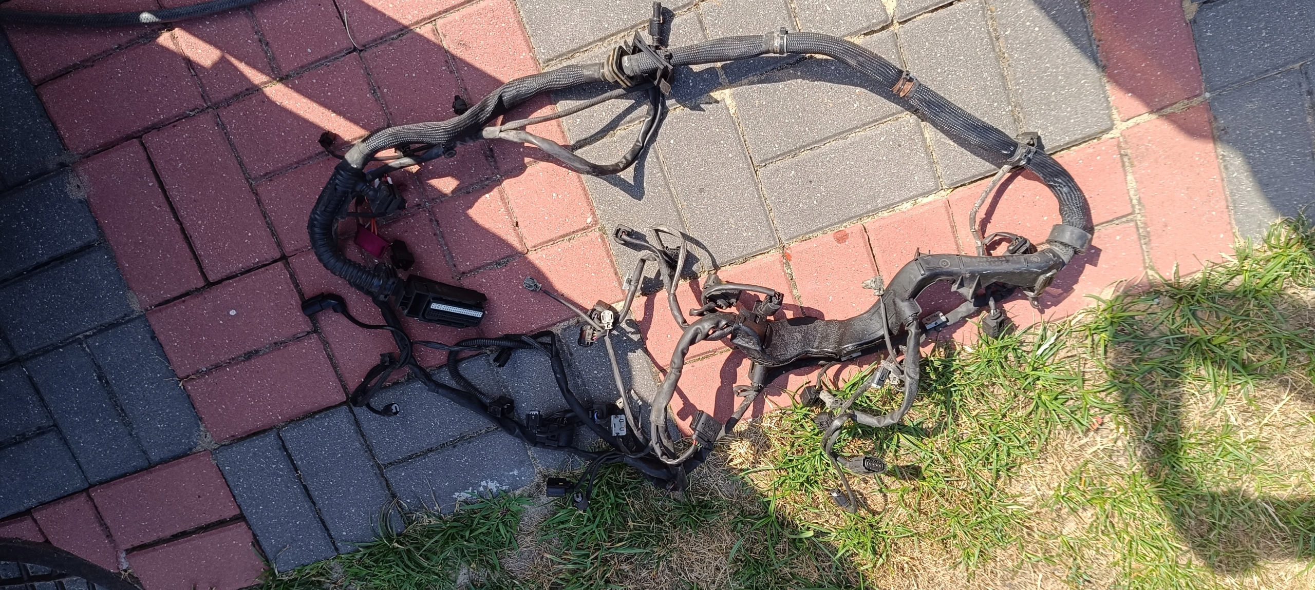 bundle motor wiring Mercedes CLK W209 3.0 CDI V6 A6421506533