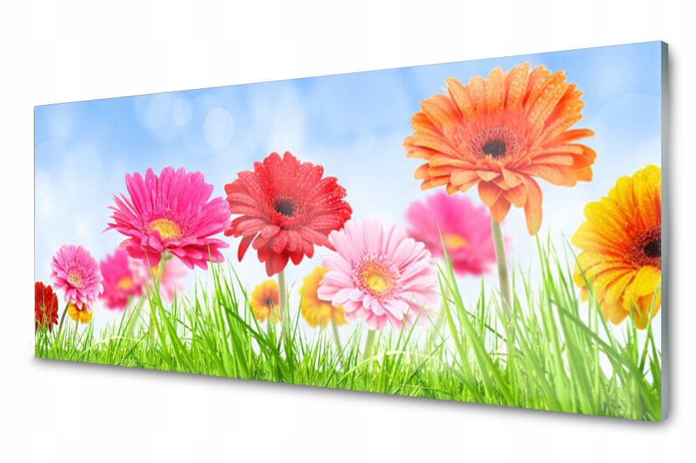 

Panel szklany do kuchni Kwiaty Trawa 125x50