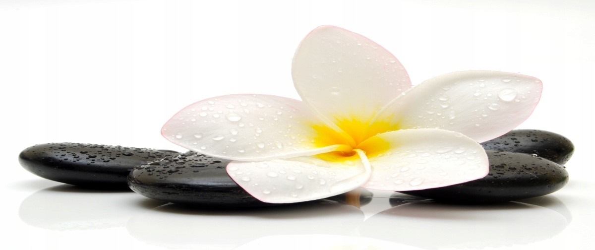 

Tapeta flizelinowa Plumeria Kamienie 250x104