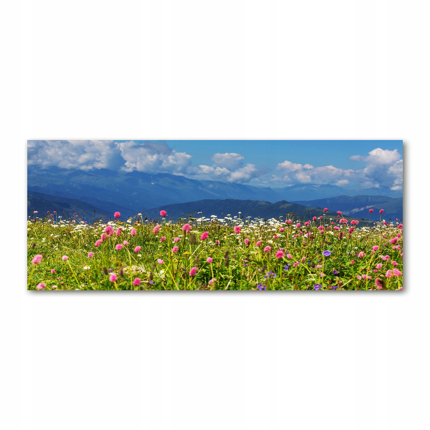 

Foto obraz akryl zdjęcie Łąka w górach 125x50 cm
