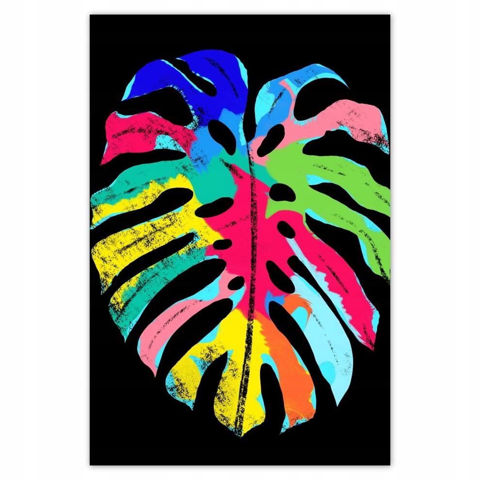 

Plakaty 40x60 Kolorowa Monstera Liść