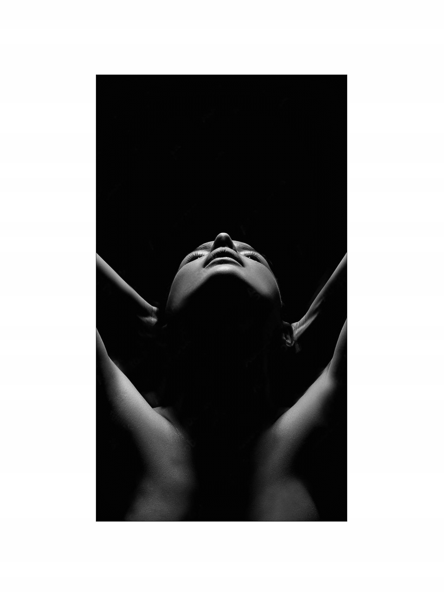 Dekorativní Vertikální Dekorativní Radiátor S Obrazem 970/545 ART40