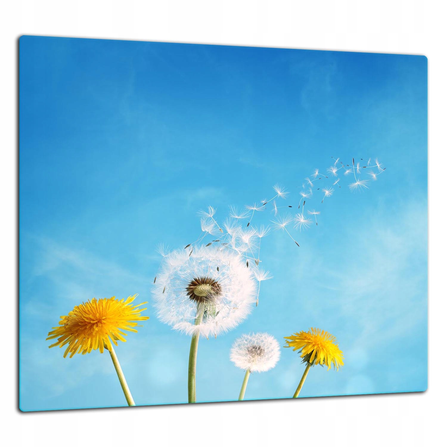 Skleněná Ochranná Deska Panel Lepidlo 65x60 Květiny