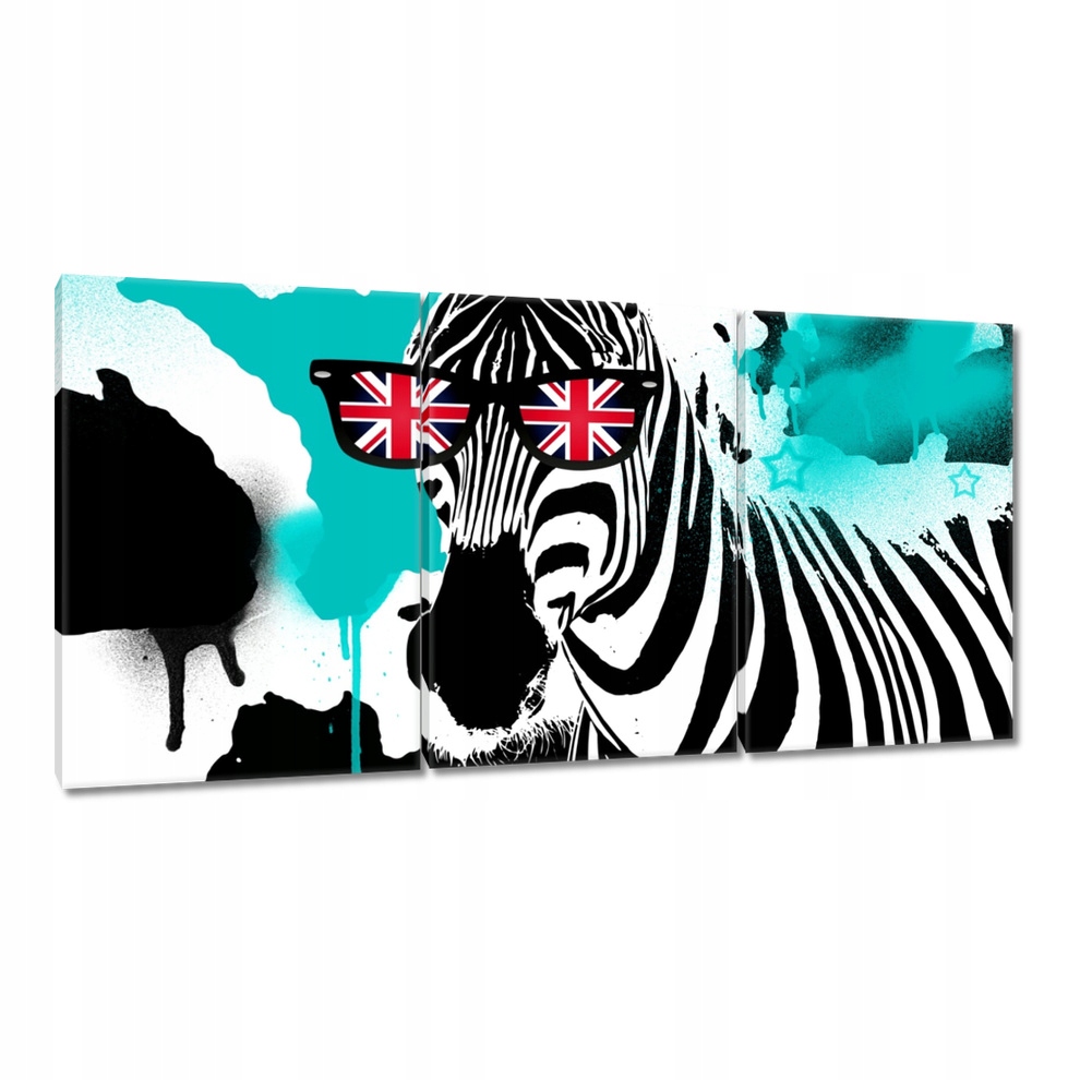 

Obrazy 120x60 Zebra Punk Star Turkus