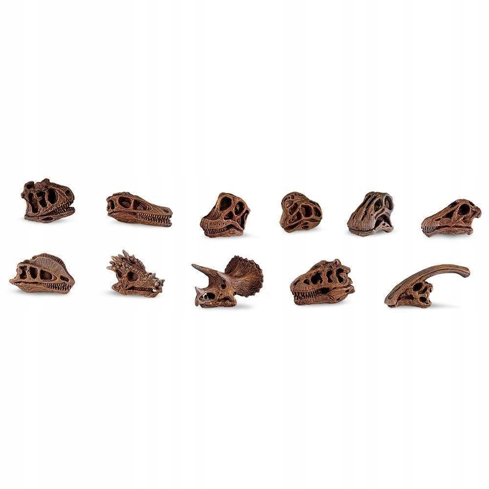 

Czaszki Dinozaurów Zestaw Małe Figurki Safari Ltd