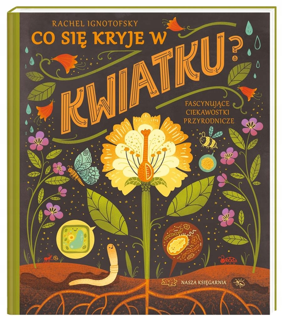 

Co Się Kryje W Kwiatku