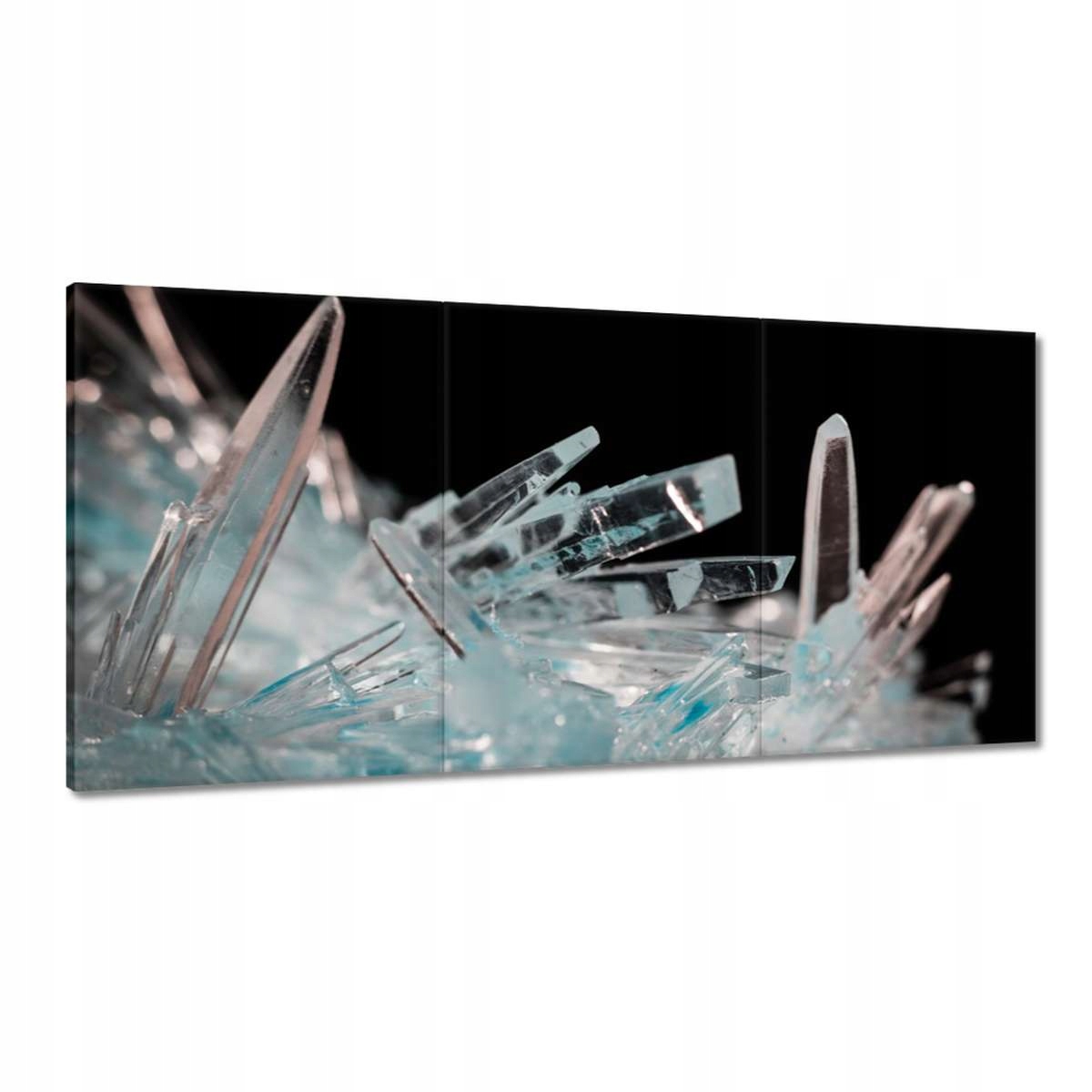 Obrazy 180x90 Makrofotografia MacroFoto