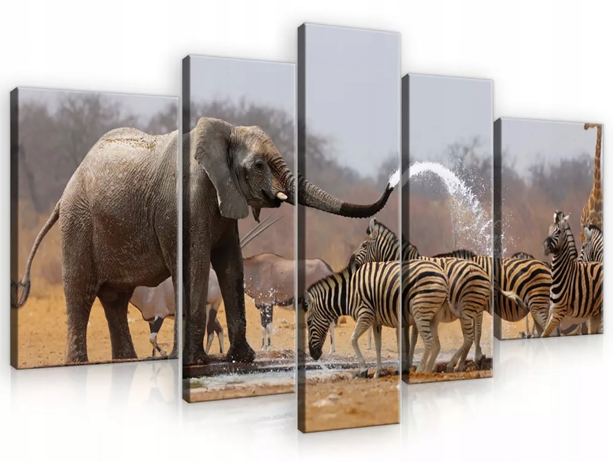 Obraz Na Plátne Canvas 170x100 Slon Zebra Zábava