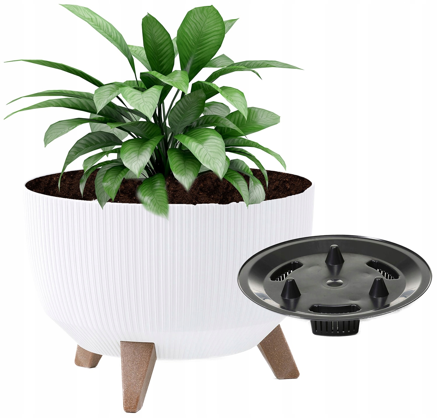 

Donica Na Nóżkach Biała ø40CM Misa Bonsai Modna