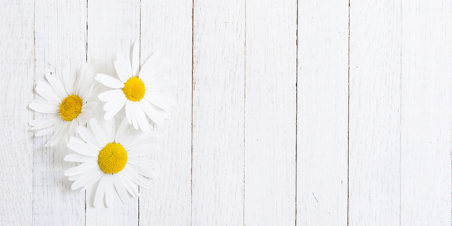 MAGNES MATA MAGNETYCZNA NA KALORYFER 120x60 KWIATY FOTOTAPETA Materiał mata magnetyczna