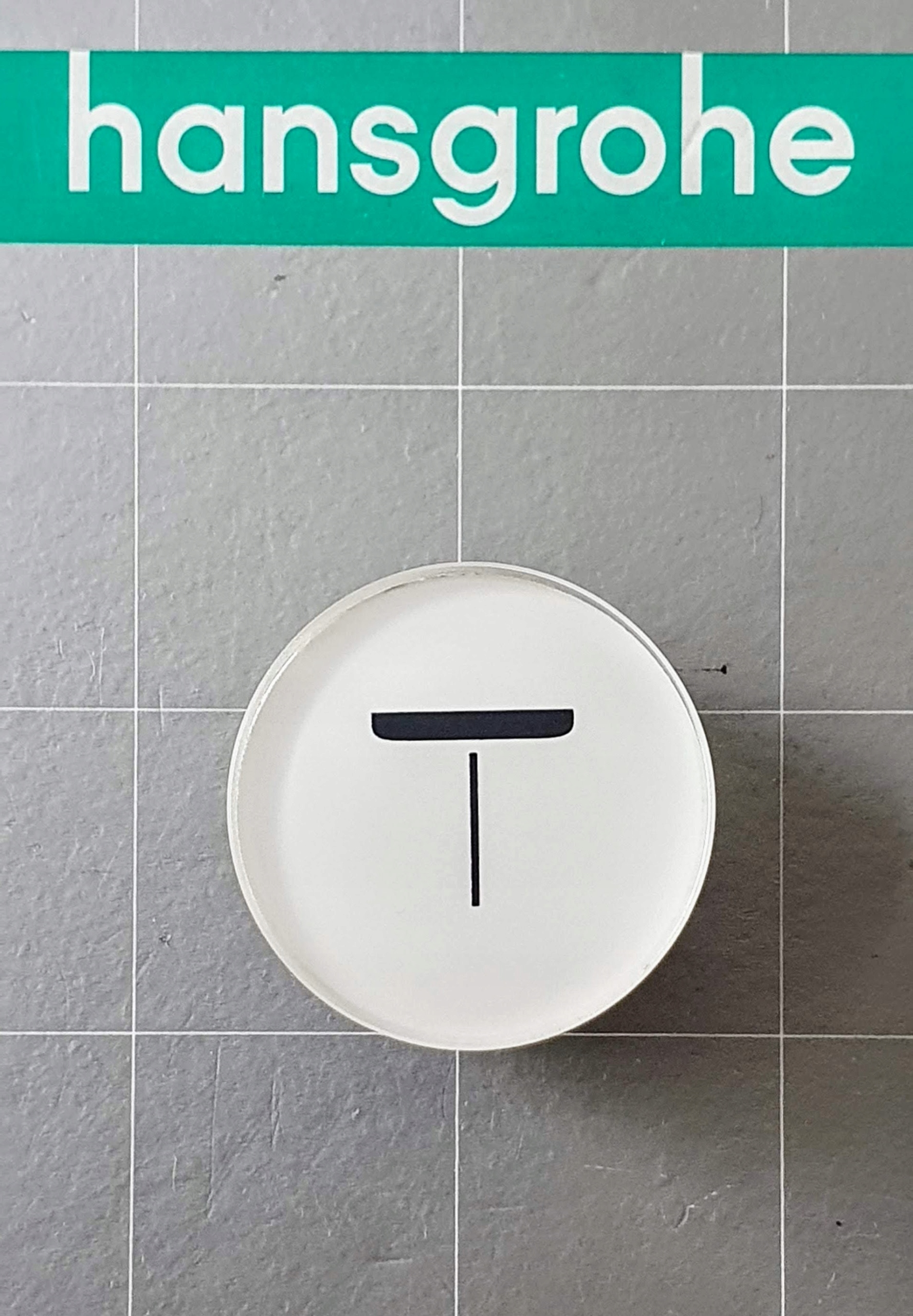 HANSGROHE ShowerSelectGlass Przycisk Dysza mono B