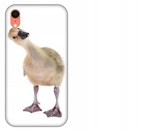 

Etui pokrowiec iPhone Xr Ges smieszne zwierzeta