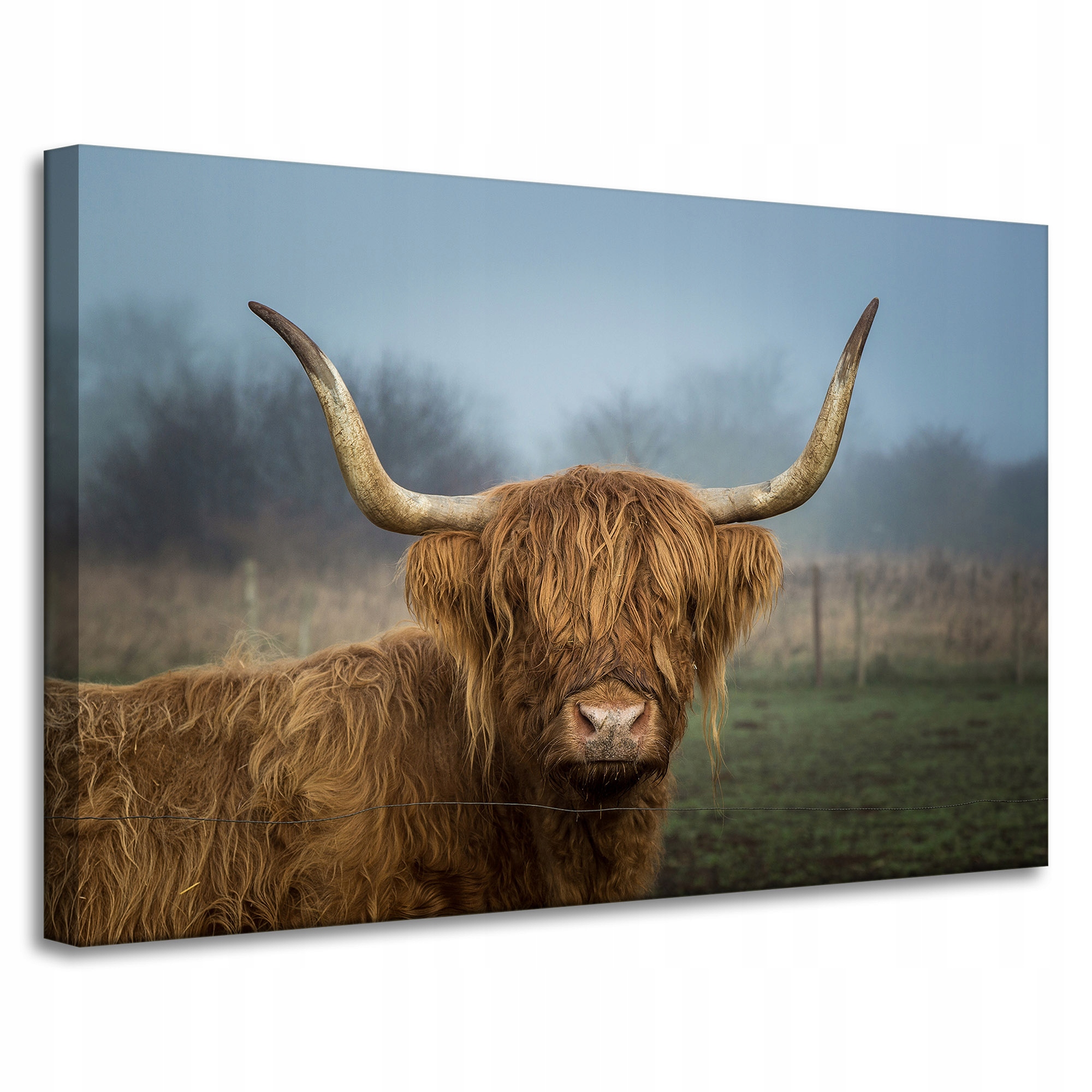 Obraz Canvas Zvířata Kráva na plátně 90x60 cm