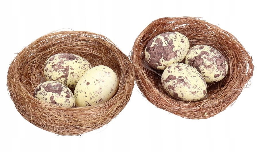 

Gniazdko Gniazdka Z Jajkami Jajka W Gniazdku 2 Szt