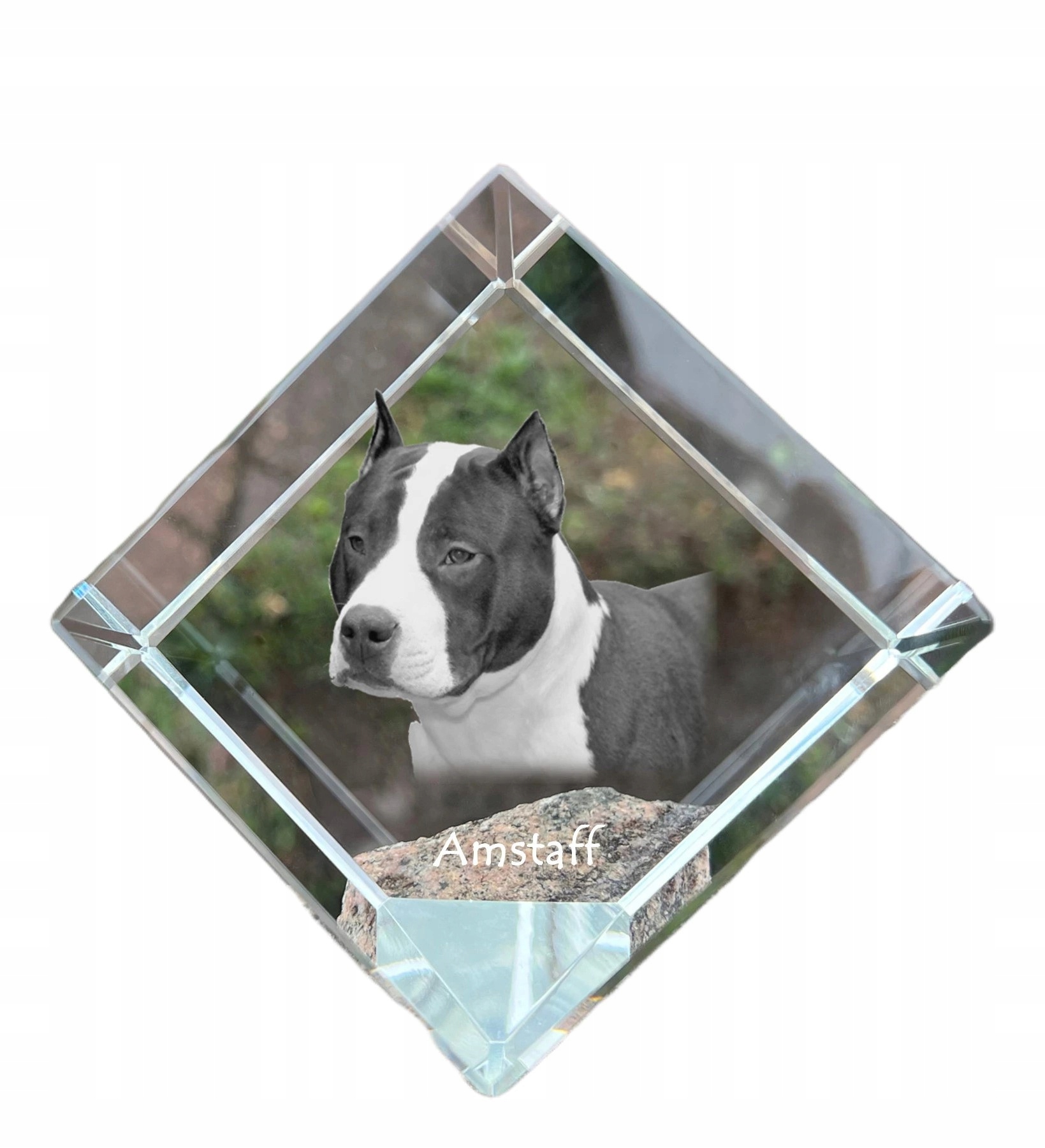 Staford Amstaff krištáľová kocka s fotografiou psa, ozdoba na stôl