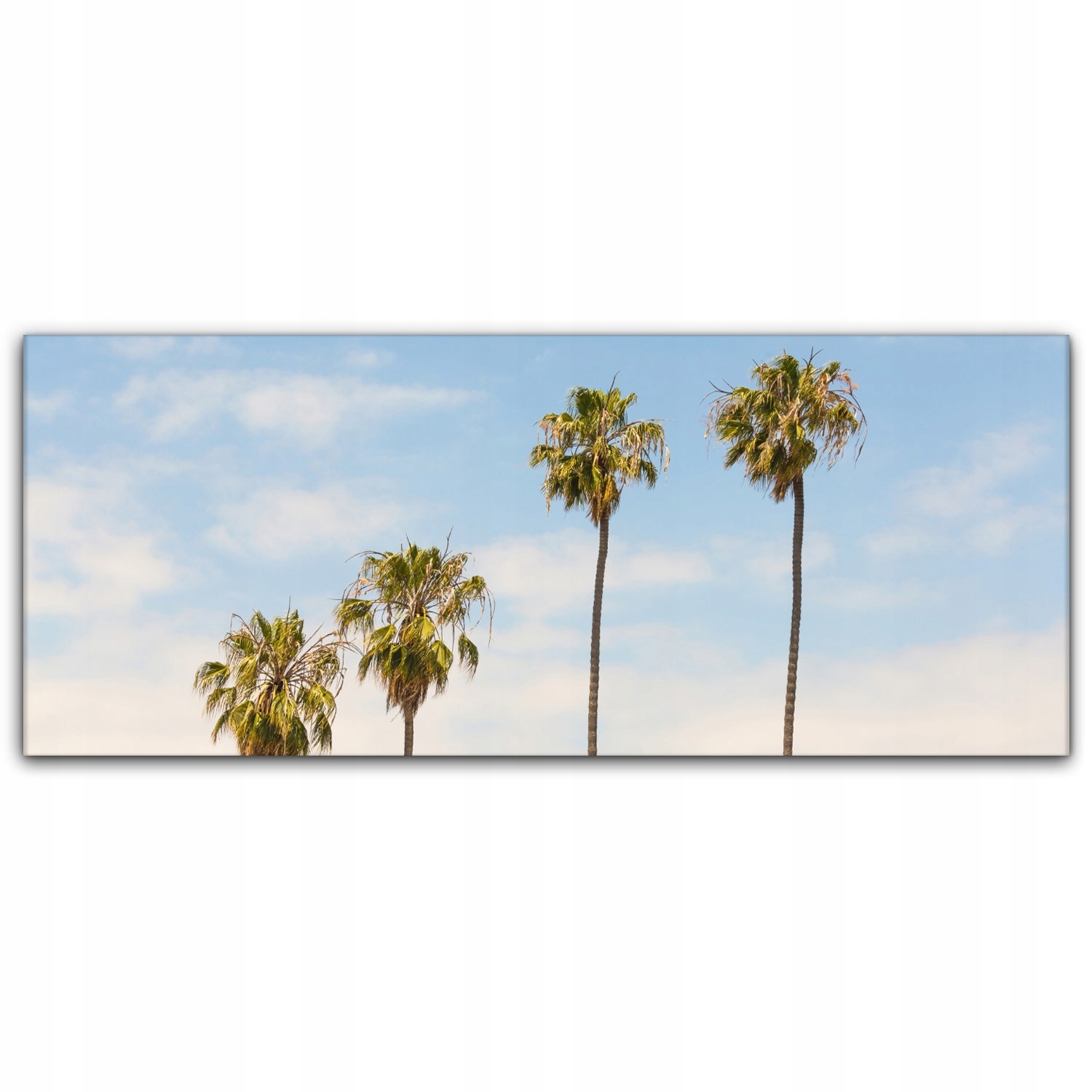 

Canvas na ramie na ścianę 125x50 Palmy Kalifornia