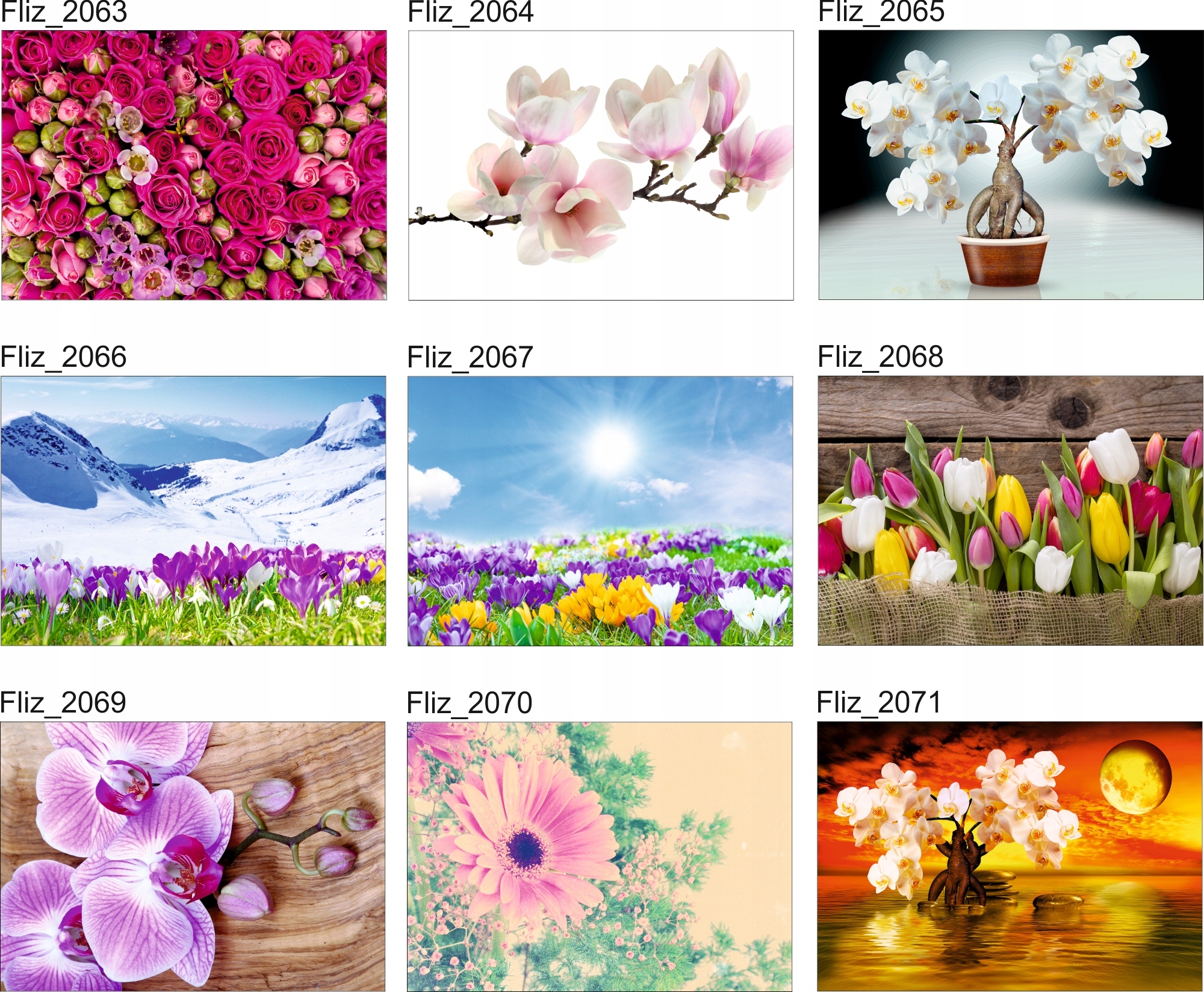 FOTOTAPETA KWIATY POLANA ŁĄKA 3D Marka agmART