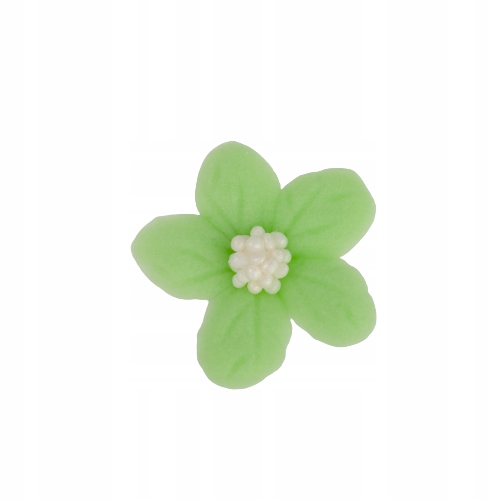 Jaśmin pistacjowy 8 x 10 szt.