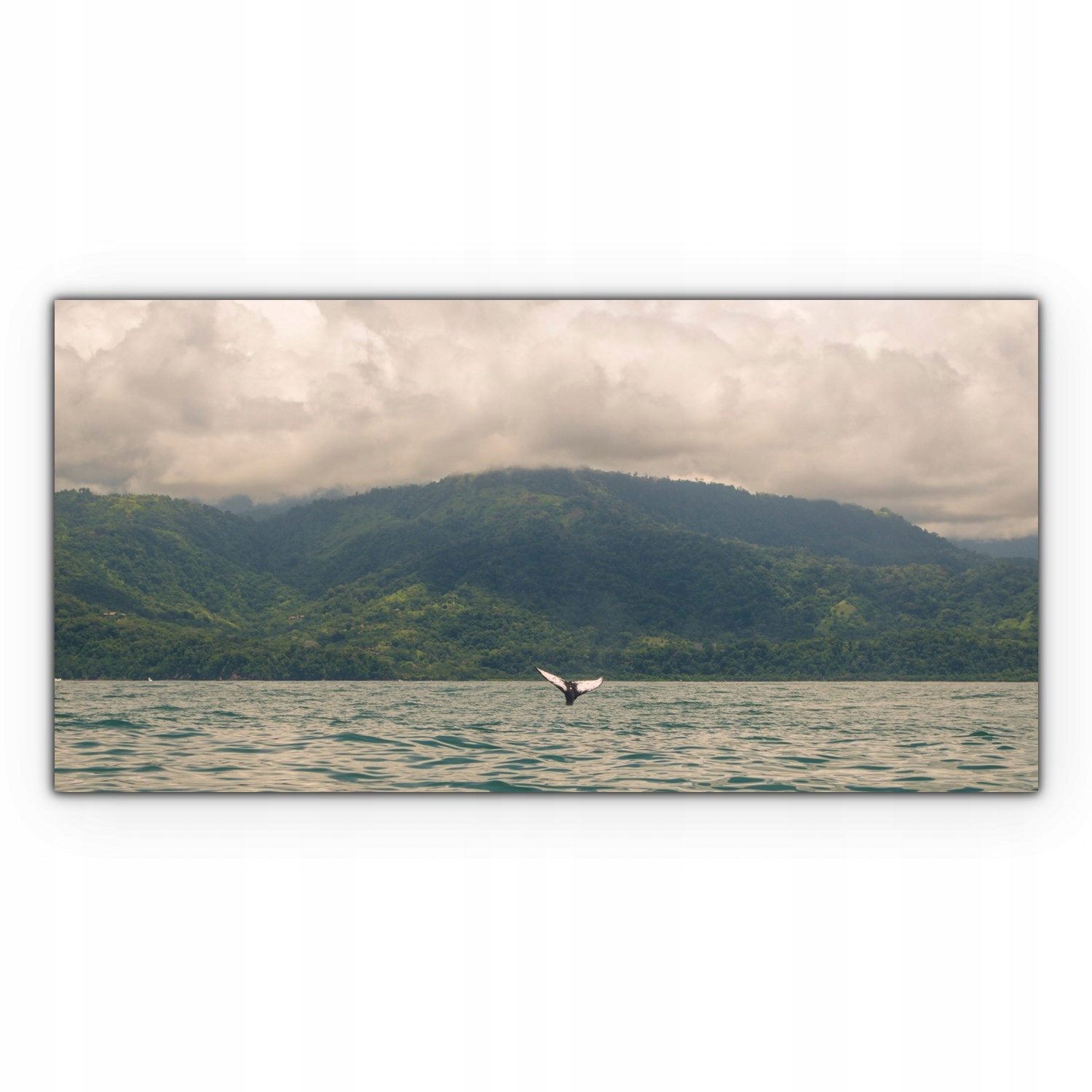 

Canvas na ramie ścienny 120x60 Wieloryb Morze Góry