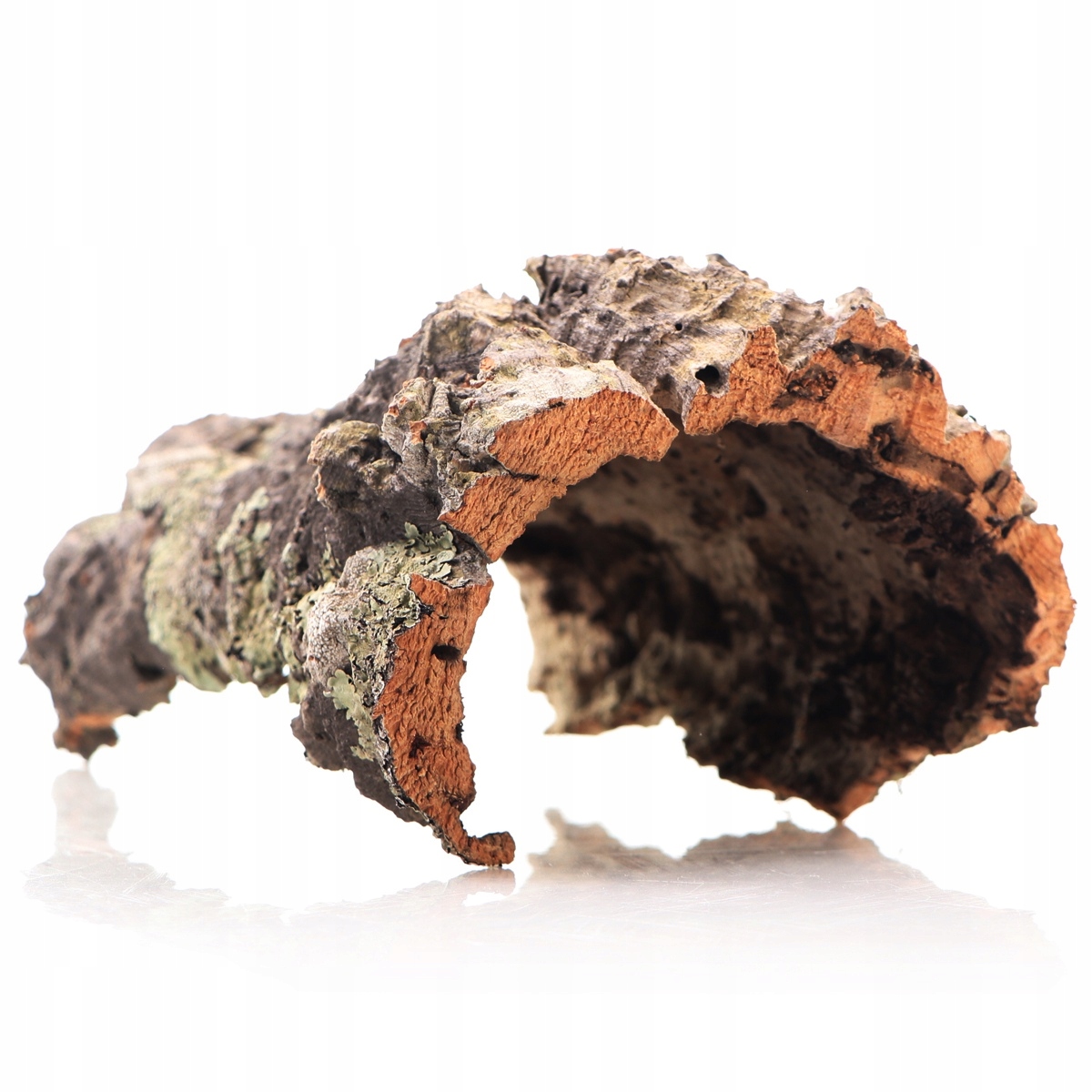 

Kora Z Dębu Korkowego Na Wagę