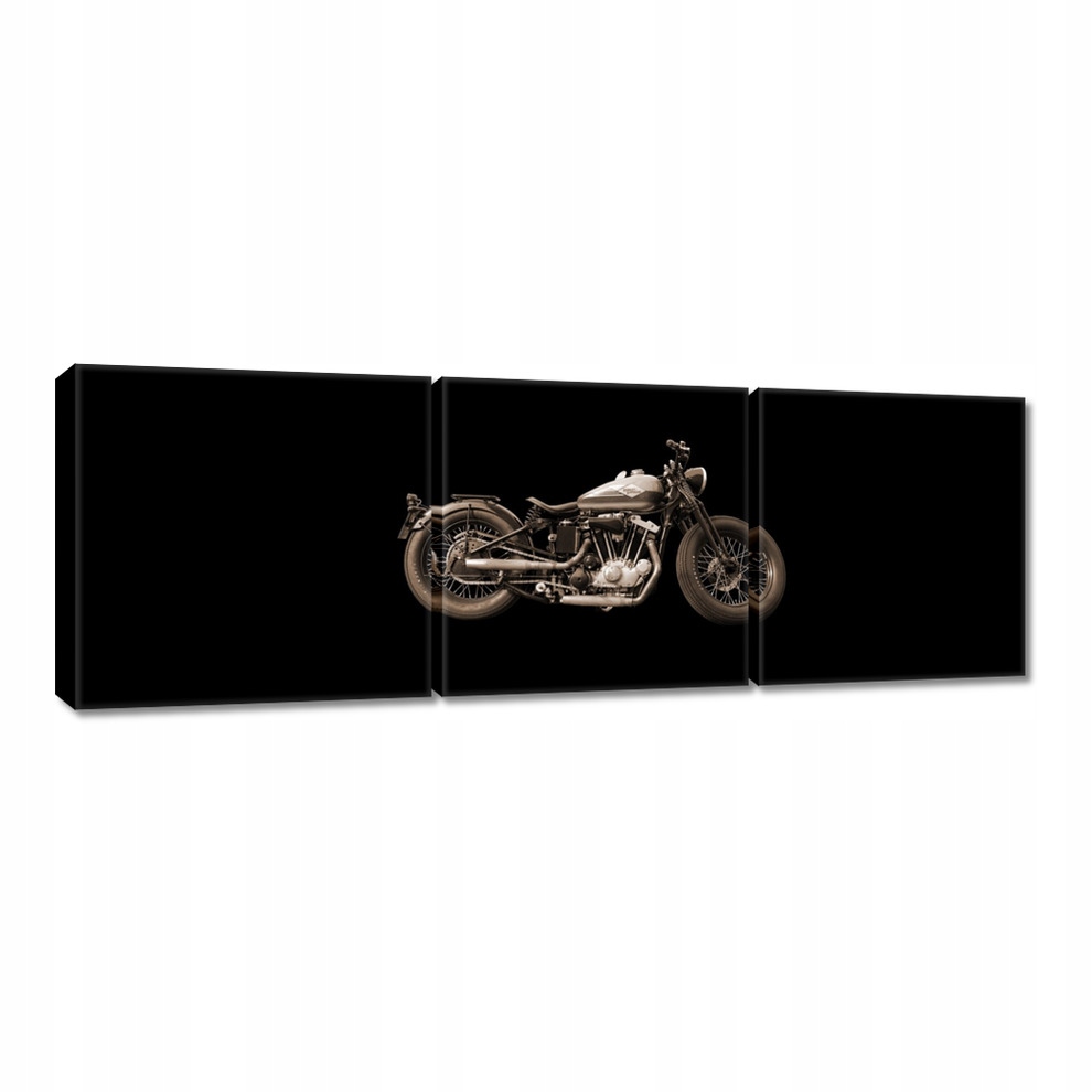 

Obrazy 60x20 Harley Davidson Motocykl