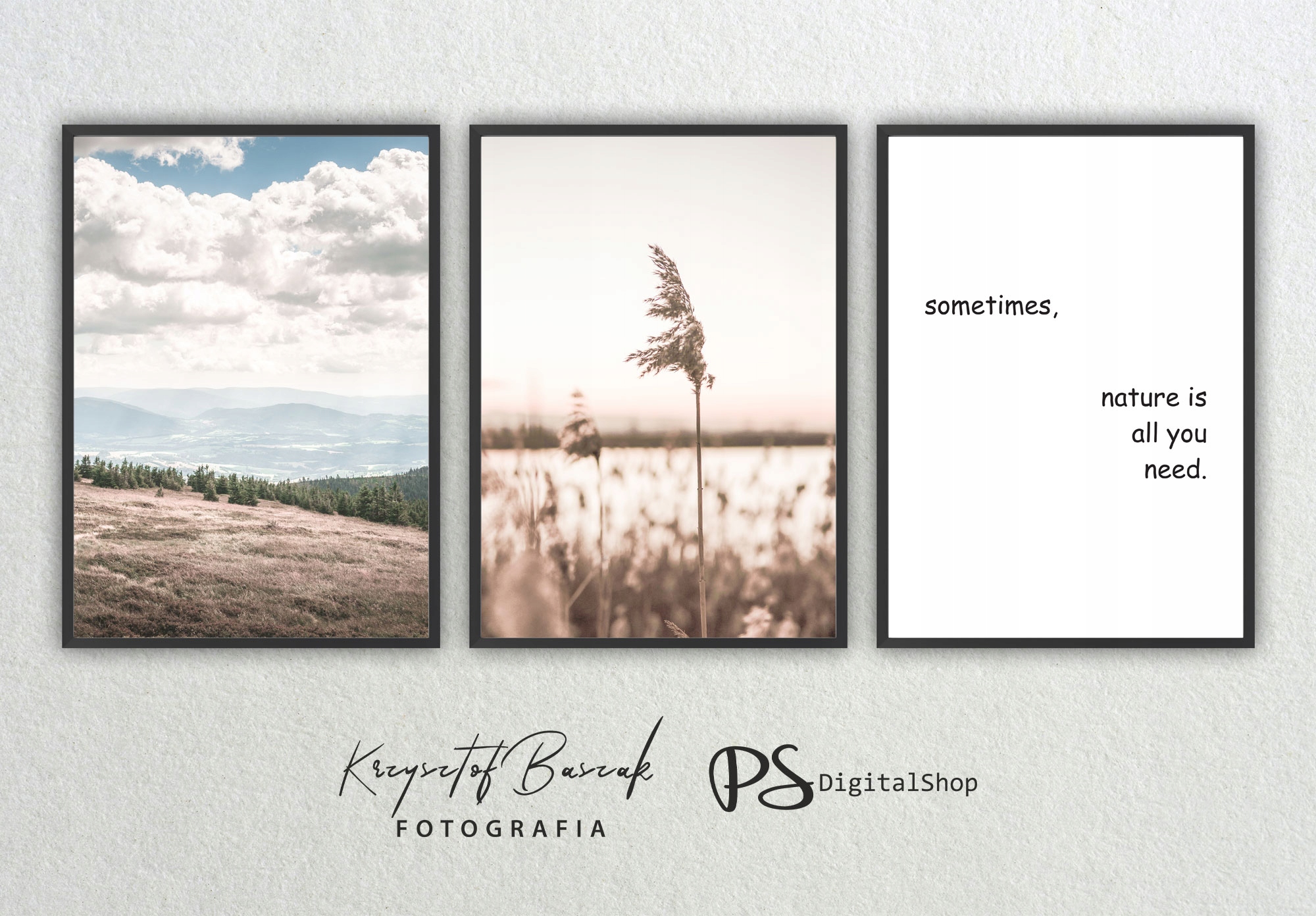 Zestaw plakatów 3 x 30x40 cm Natura Format pionowy