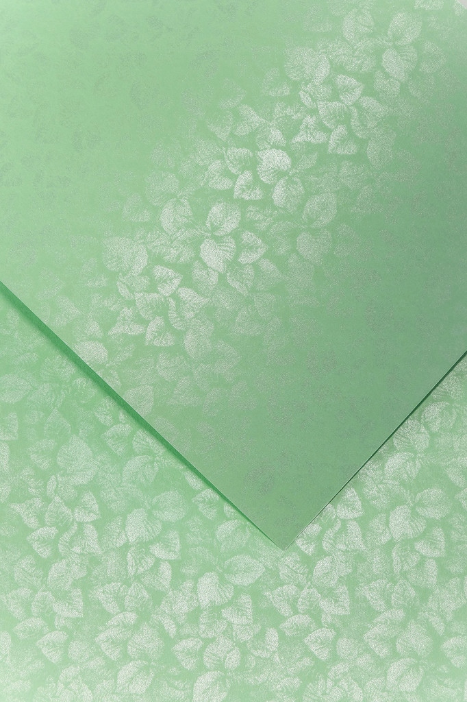 

Papier ozdobny karton Liść zielony 250g A4 5ark/A4