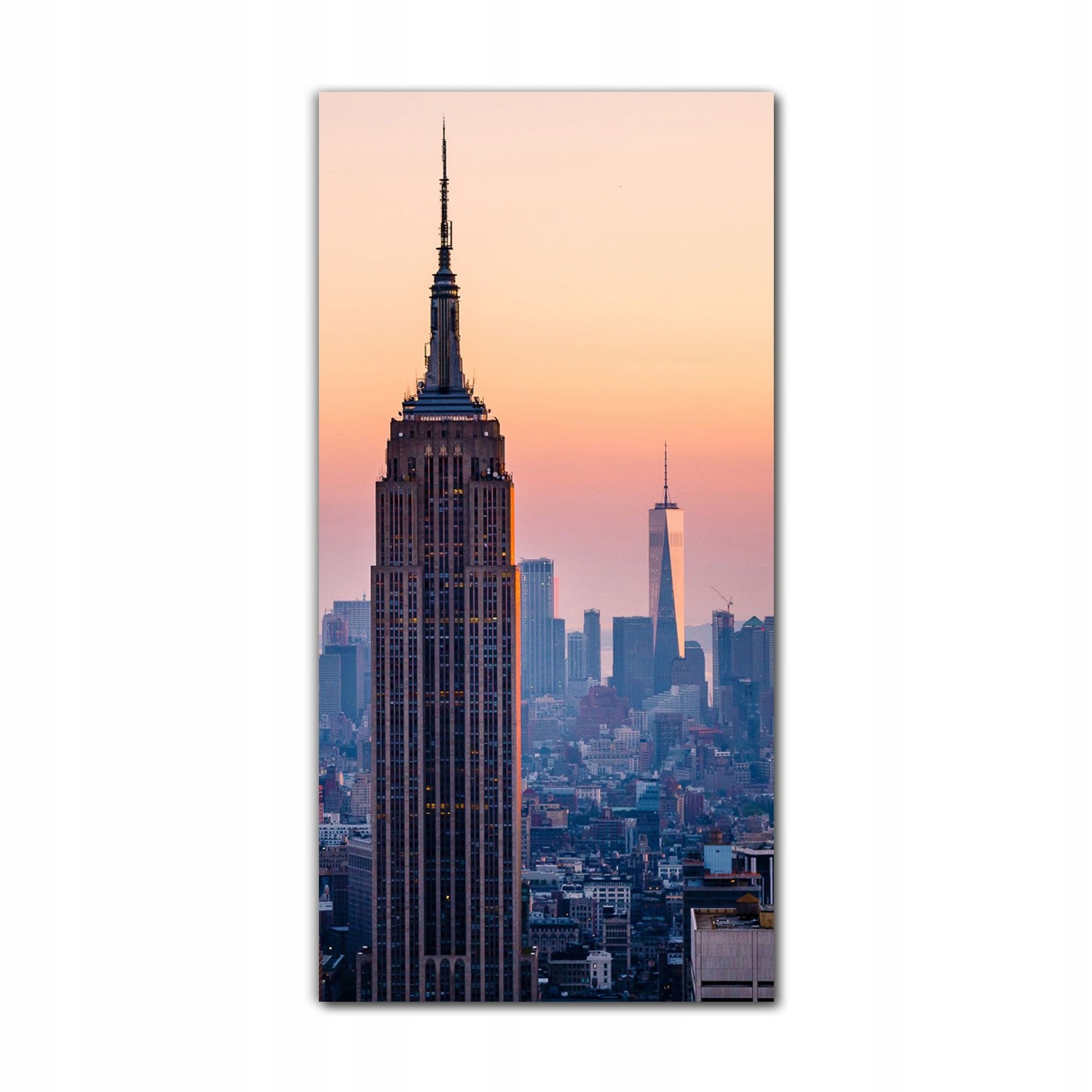 

Foto szklane na ścianę 70x140 Panorama Manhattanu
