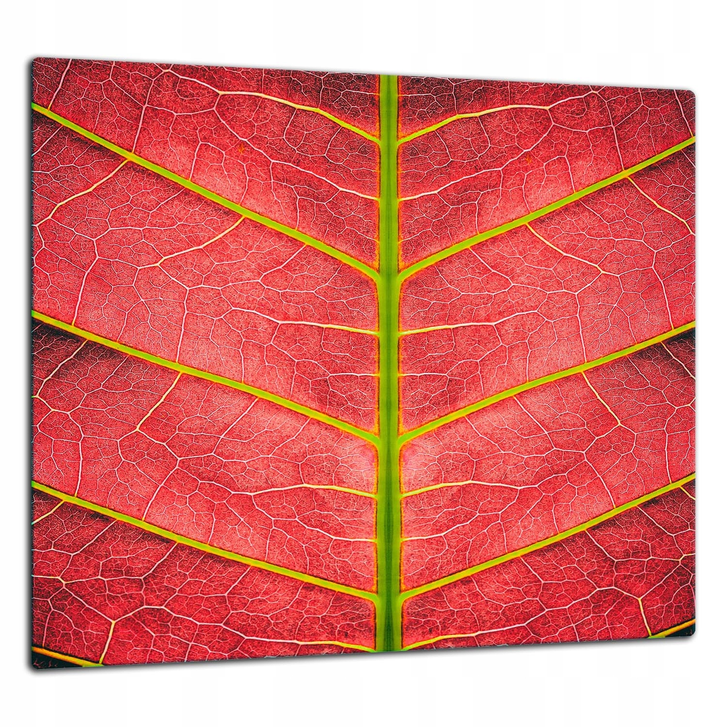 Skleněná Ochranná Deska Panel Lepidlo 65x60 List