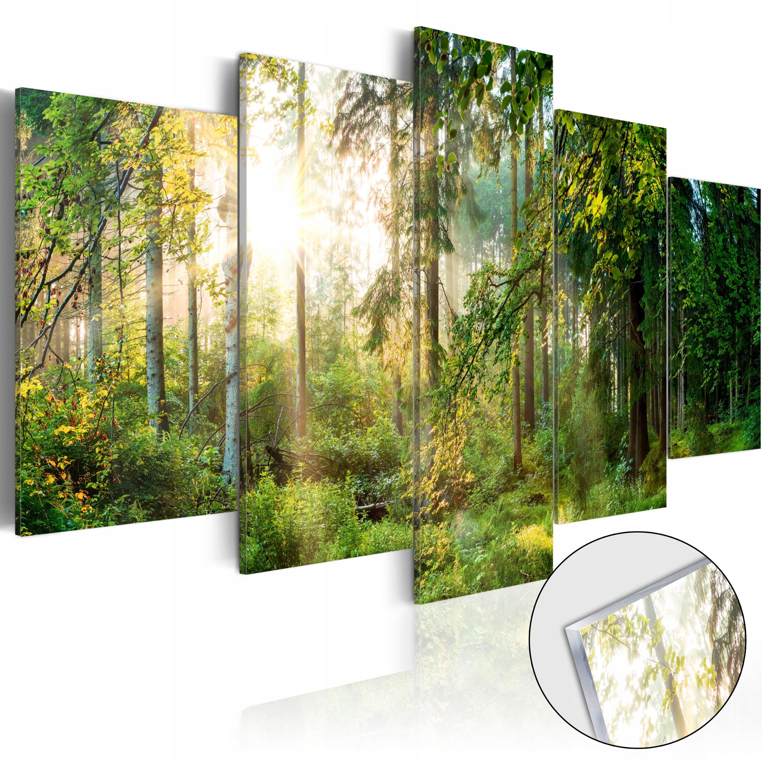 Obraz Na Skle 5 Dílů Triptych Příroda Les Krajina Do Koupelny XL 200x100