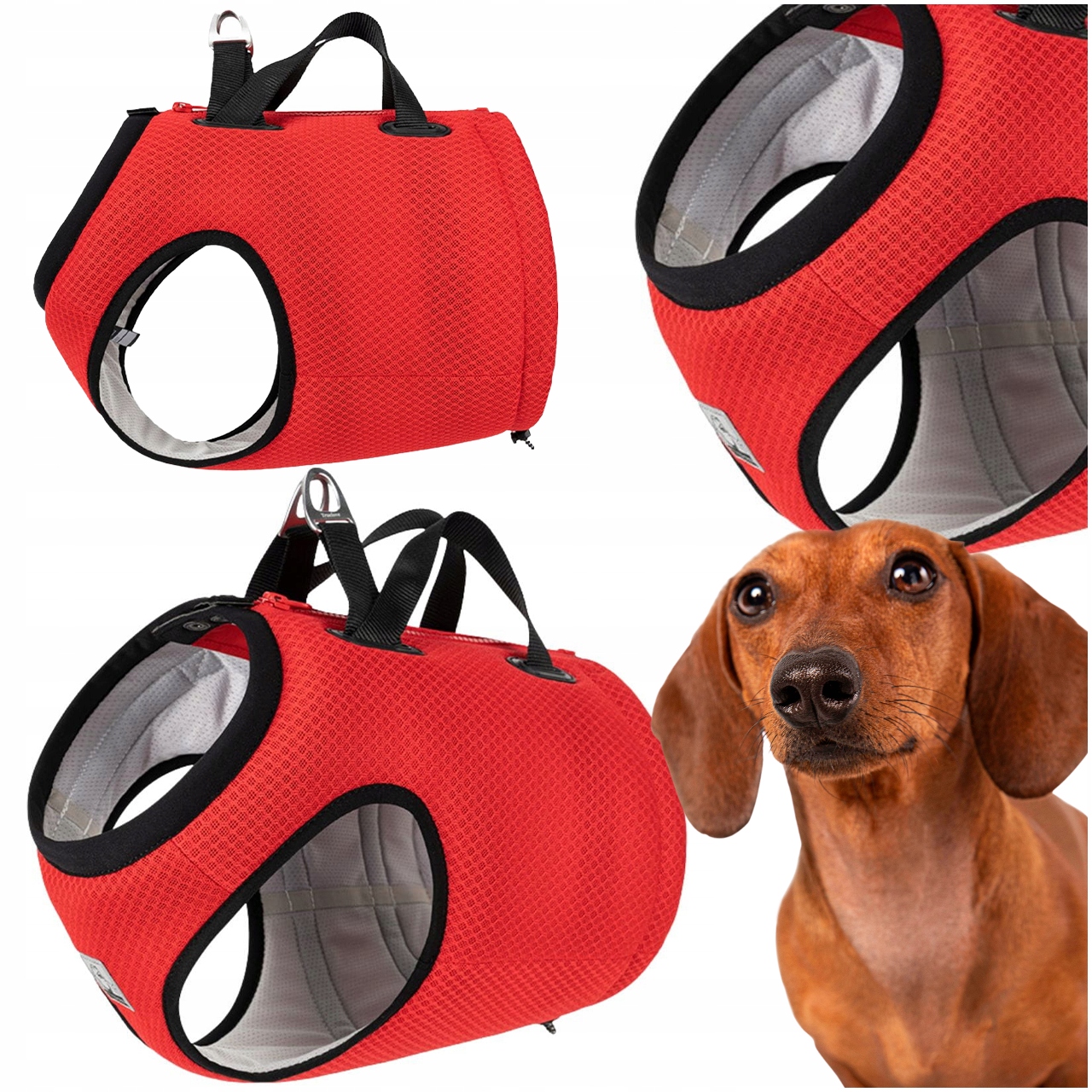 Levně Automobilové Postroje Pro Psa S Atestem Truelove Expedition Červené M