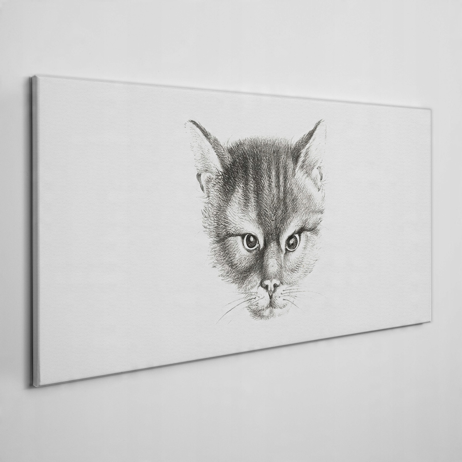 

Obraz na płótnie na ramie Zwierzę kot 120x60 cm