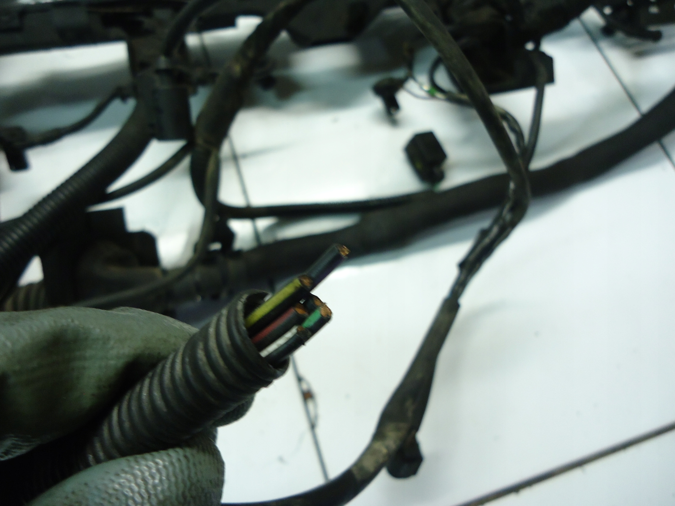 MERCEDES W211 3.2CDI bundle motor wiring A6481500133