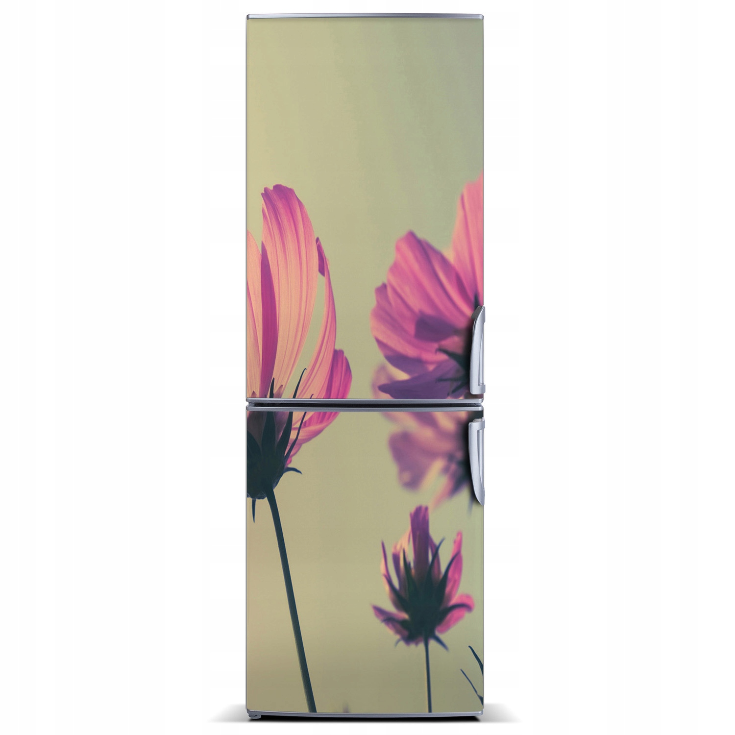 

Tapeta magnetyczna lodówkę Różowe kwiaty 60x180