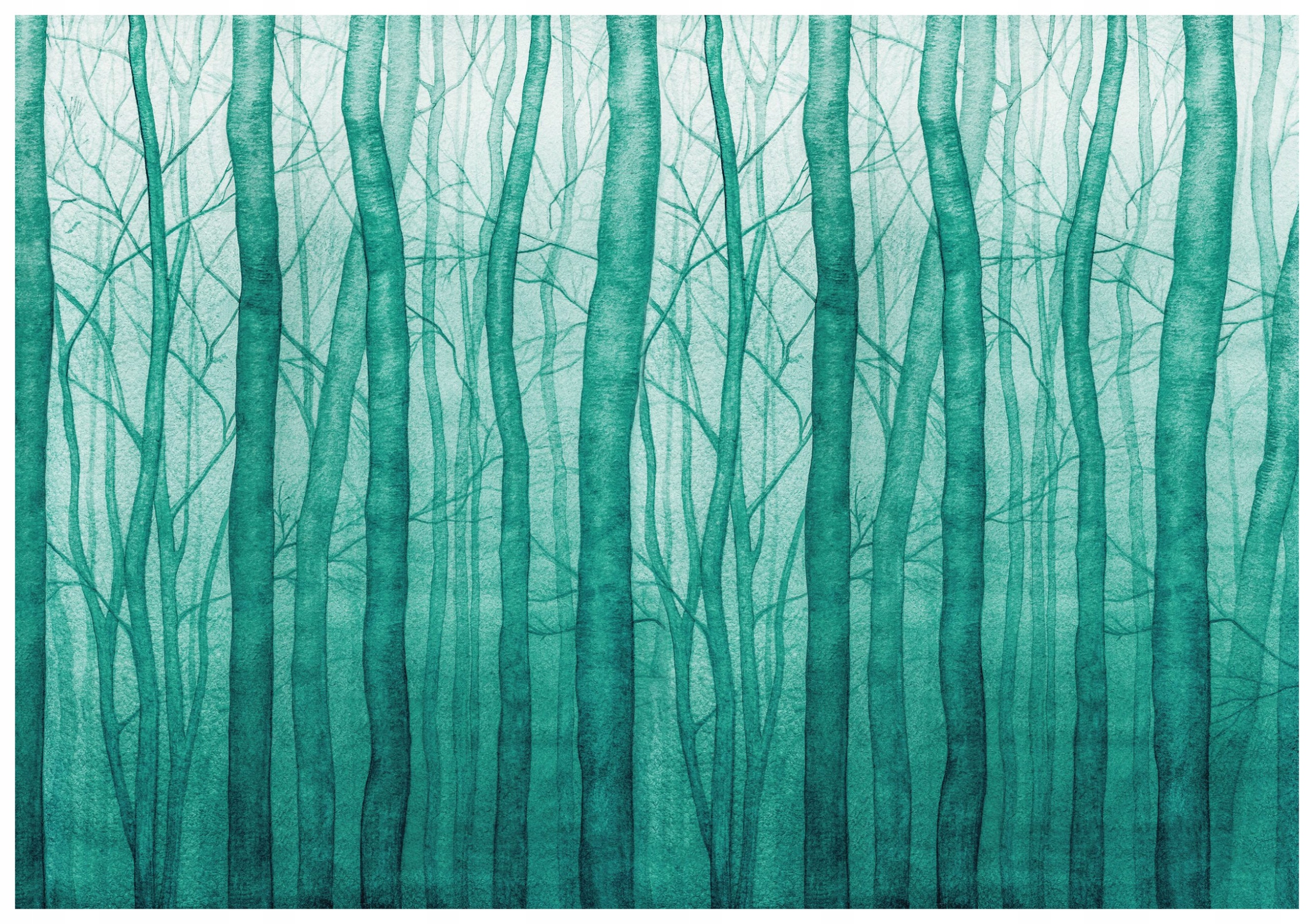 Fototapeta Mlžný les Zeleň tyrkysová Relax Minimalismus 208x146 lepidlo