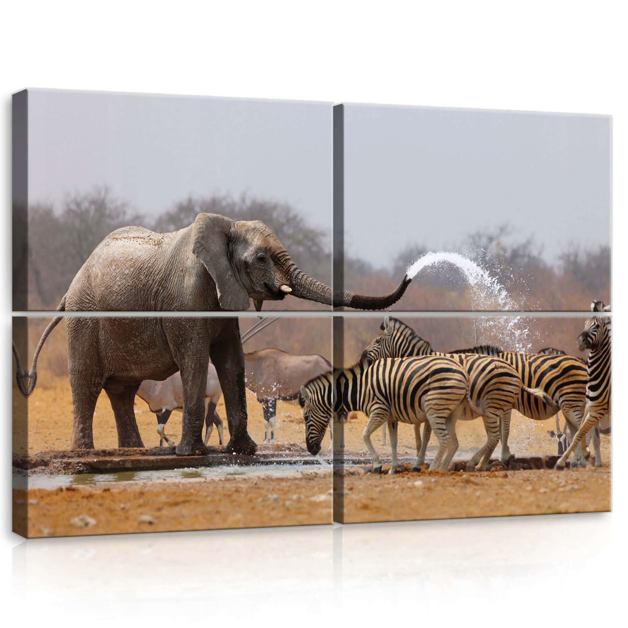 Obraz 120x80 Afrika savana slon zebry zvířata příroda klid síla