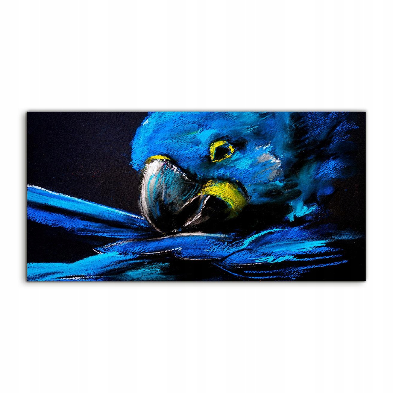 Fotoobraz 140x70 s potlačou Papagáj Vták Zviera