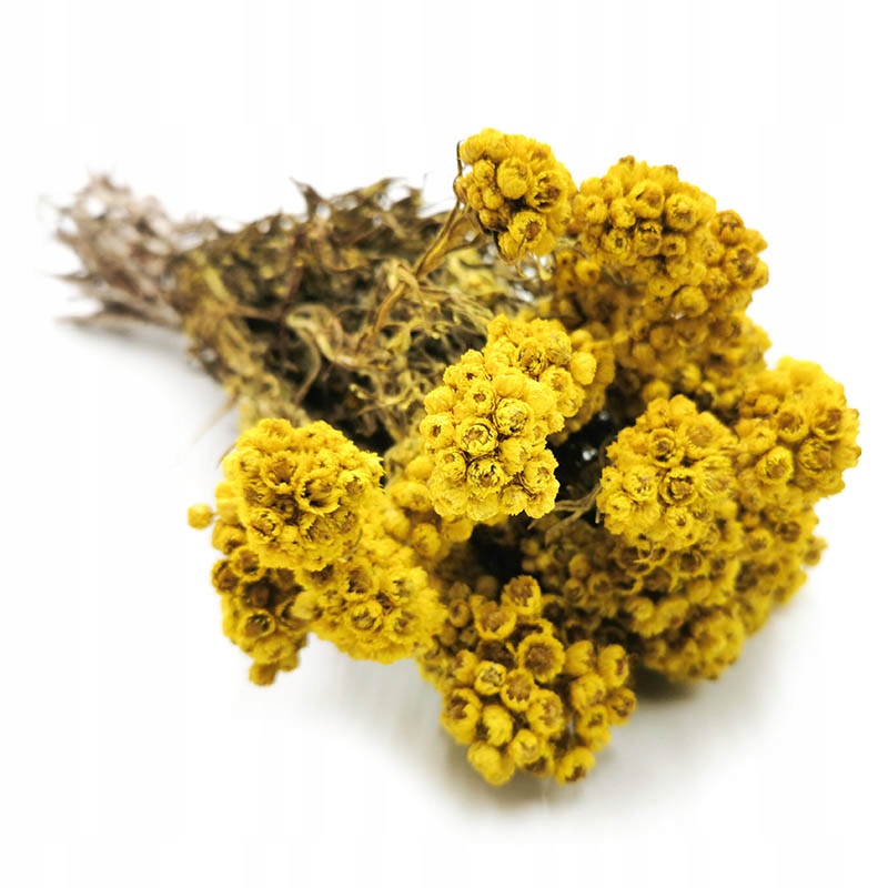 

Anafalis Żółty suszony (Anaphalis) bukiet