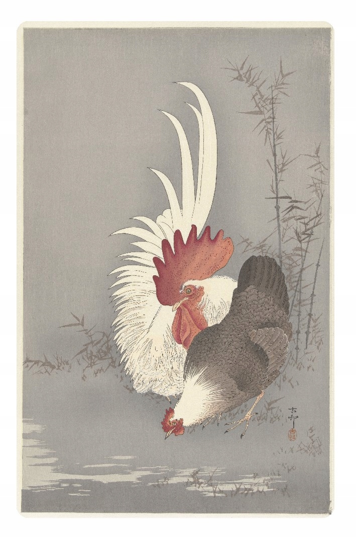 

Magnes na lodówkę kogut koguty kura kurki