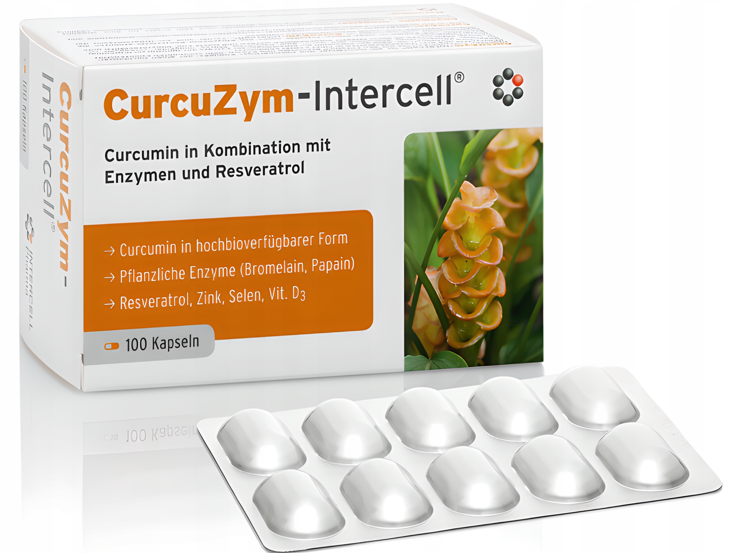 DR. ENZMANN CURCUZYM-INTERCELL KURKUMINA 100 Kaps Marka Mito-Pharma