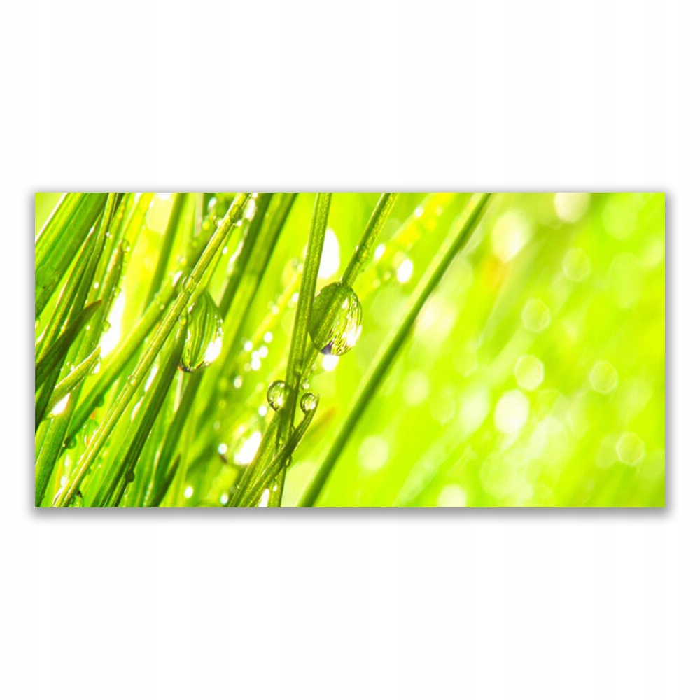

Obraz akryl z nadrukiem 140x70 Natura Krople Trawa