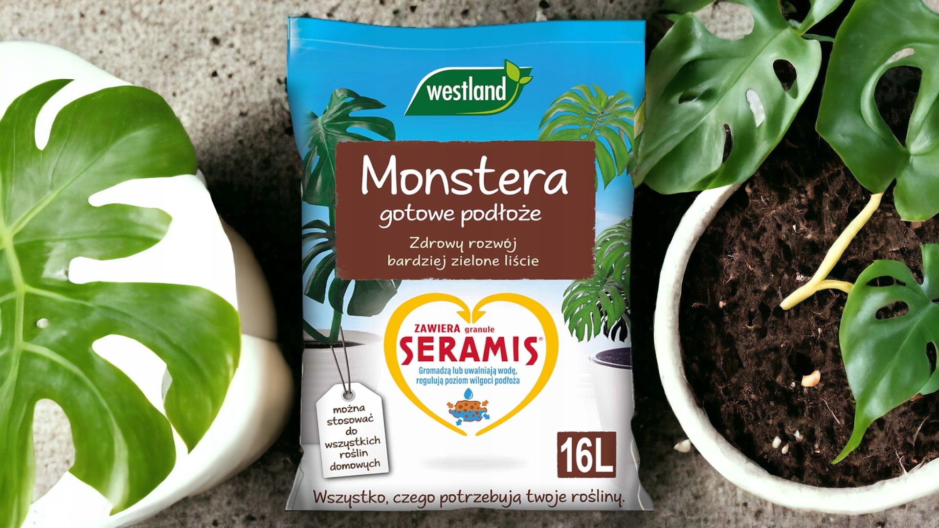 ZIEMIA DO MONSTERY - MONSTERA GOTOWE PODŁOŻE Z SERAMIS WESTLAND AŻ 16L Kod producenta ZIEMIA PODŁOŻE DO MONSTERY