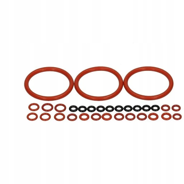 Delonghi Esam Etam Ecam Eam uszczelka zaparzacz