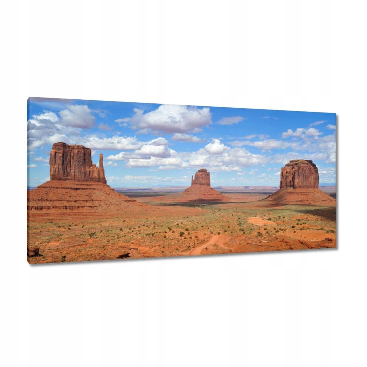 Obrazy 115x55 Usa Kanion