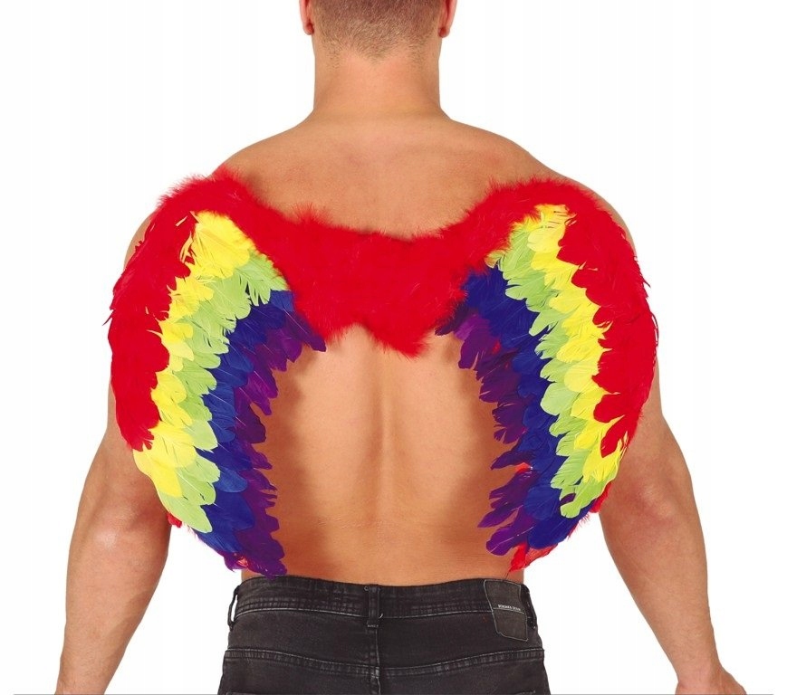 Skrzydełka piórkowe tęczowe 60x40cm motyl ptak Stan opakowania oryginalne