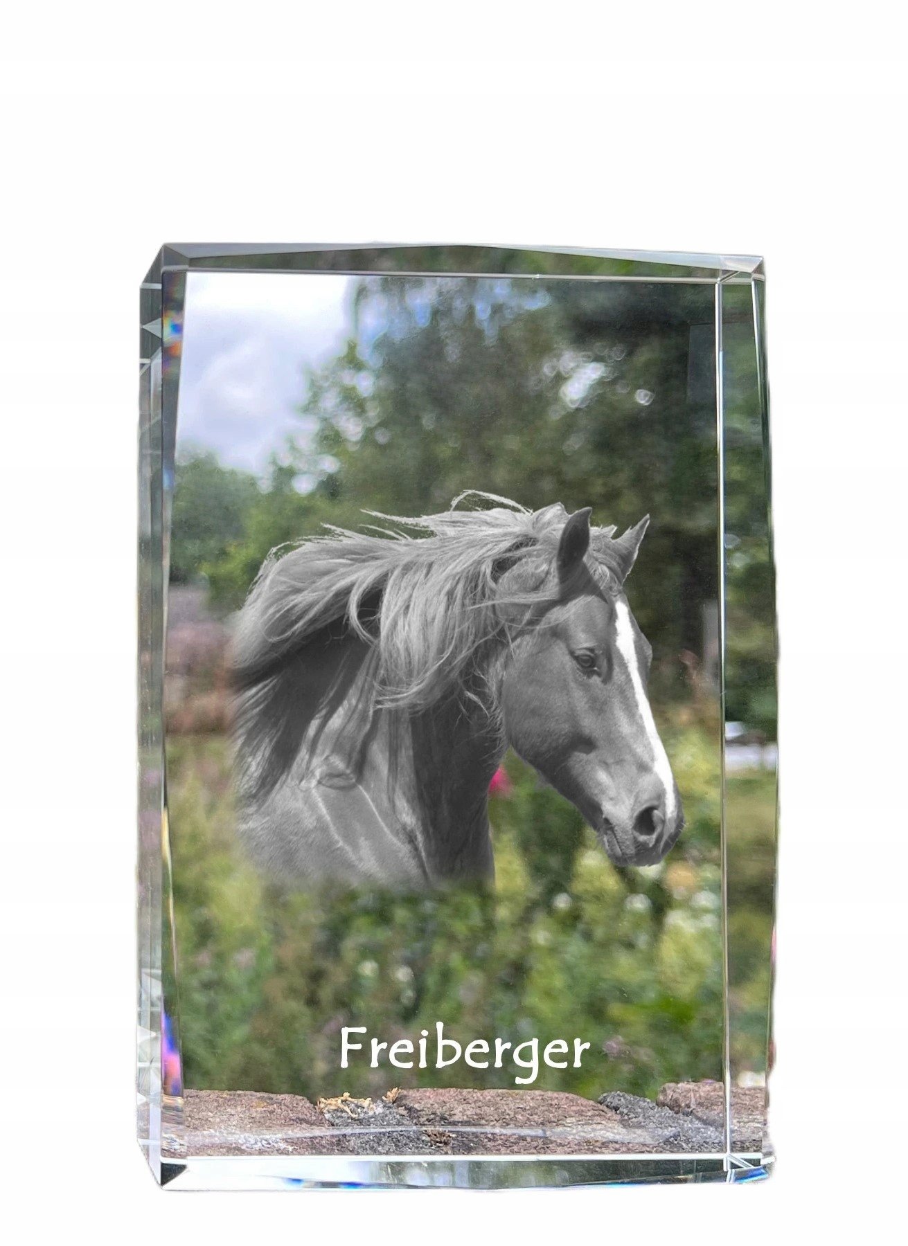 Kôň Freiberger fotografia v kryštáli, suvenír, trofej, poďakovanie