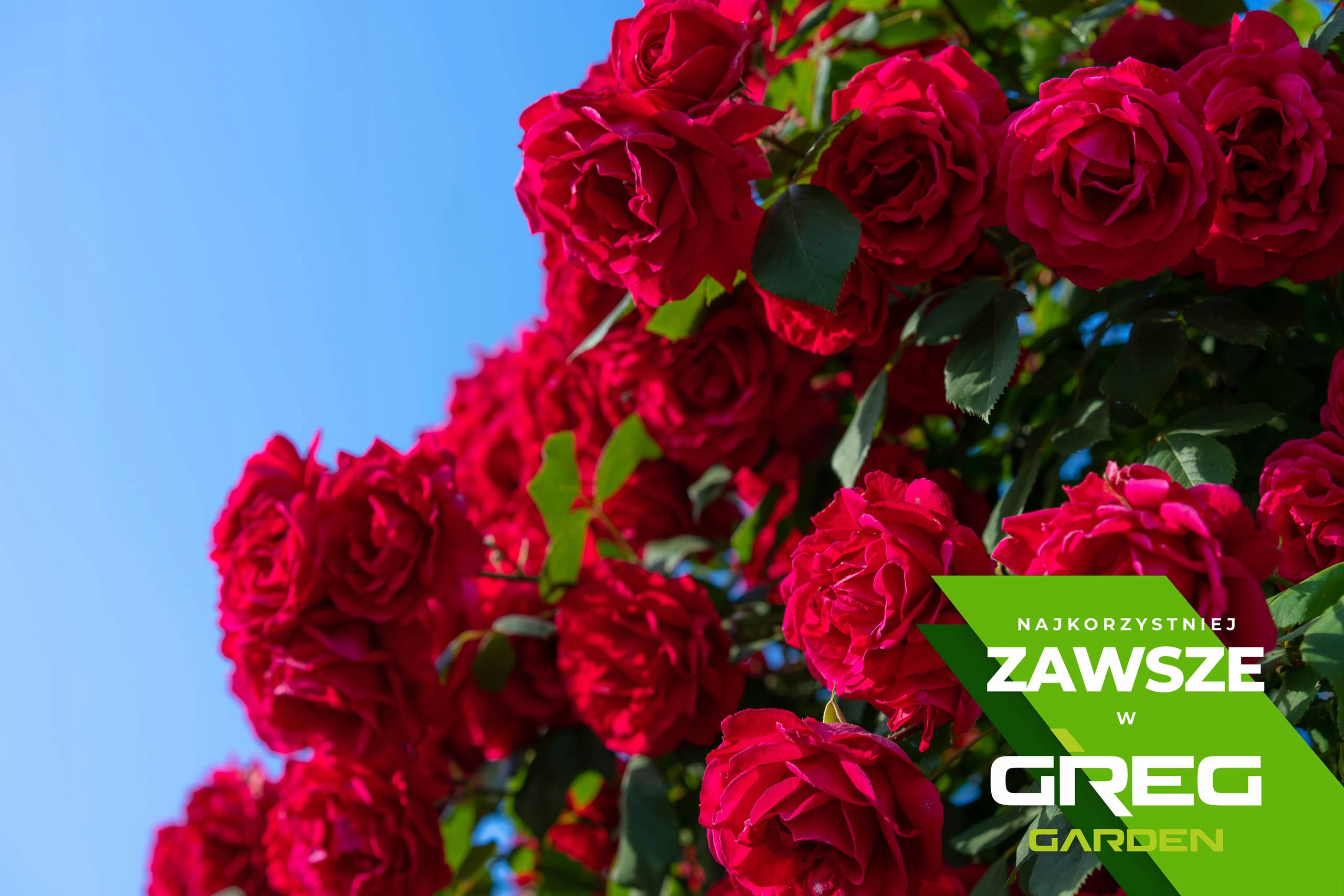 Wapno Nawozowe Granulowane do Trawnika KREDA 10kg Waga 10 kg